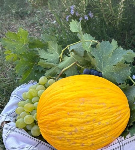 pingiotti-prodotti-orto